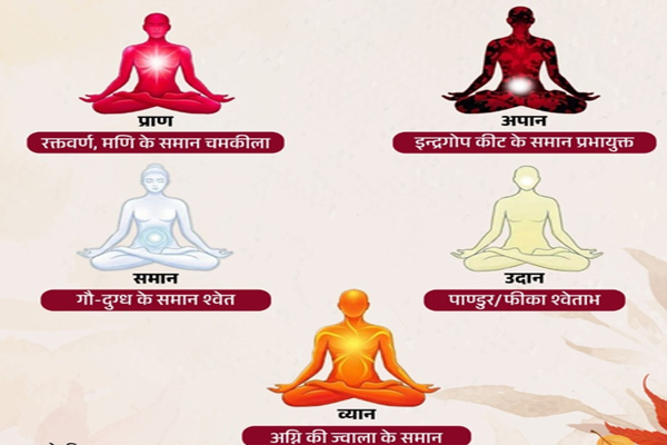 5 મહત્વપૂર્ણ ઊર્જા શરીરમાં વહે છે, જાણો તેમના રંગ અને કાર્યો शरीर में बहती हैं 5 प्राण ऊर्जाएं, जानिए इनके रंग और काम