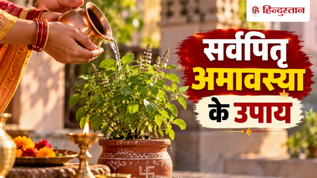 સર્વપિત્રી અમાવસ્યા પર તુલસીજી સાથે જોડાયેલા આ ઉપાયો કરો, પૂર્વજો થશે પ્રસન્ન… सर्वपितृ अमावस्या पर करें तुलसी जी से जुड़ा ये उपाय, पितरों होंगे प्रसन्न...