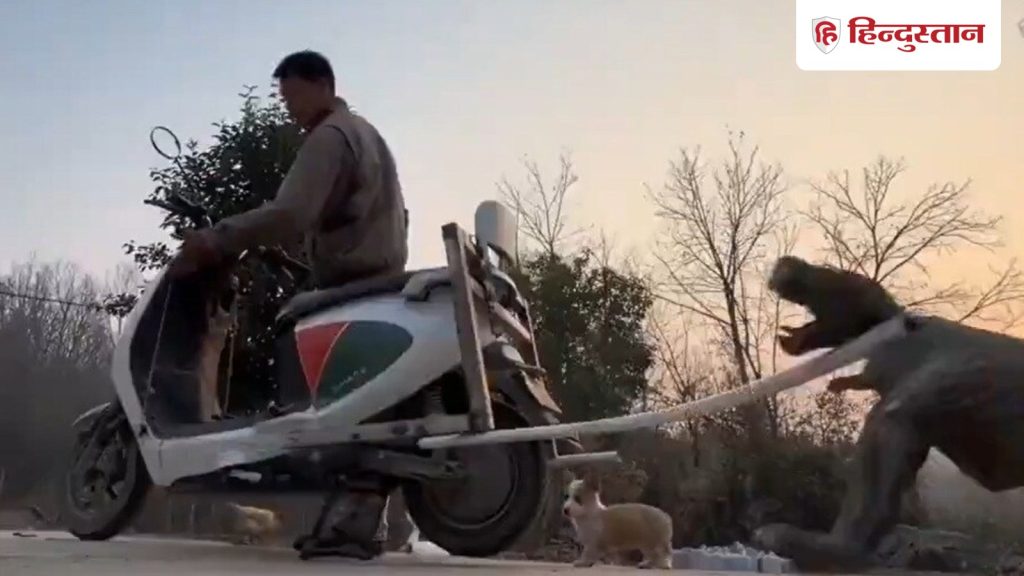 बाइक के पीछे कुत्तों के दौड़ने से था परेशान, फिर बनाया गजब का जुगाड़; VIDEO